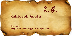 Kubicsek Gyula névjegykártya
