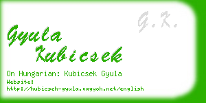 gyula kubicsek business card